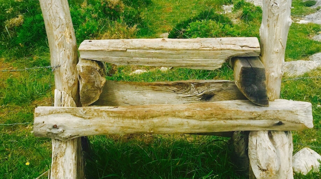 A rustic cattle guard along the cliffs above the Cantabrian Sea