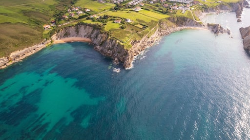 Aerial view of Arnia beach in Cantabria in north Spain