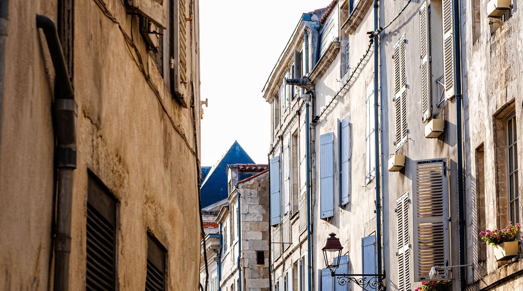 مينالو بوفوار