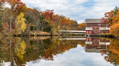 Fall colors at Dells Mill Pond