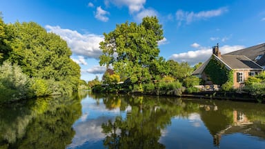 Scenic view of river Kromme Rijn in Bunnik on a sunny summer day