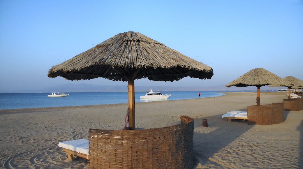 tropical resort beach