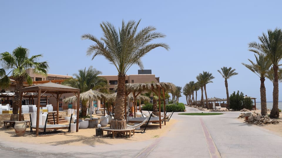 A beachside resort with palm trees, lounge chairs, and a clear blue sky.