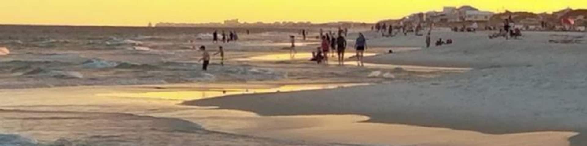 Crane fishing on the beach.