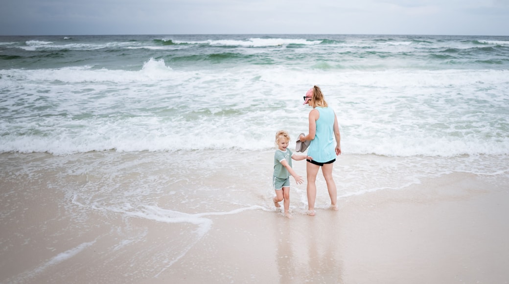 A beach with waves and a person and child near the water.
