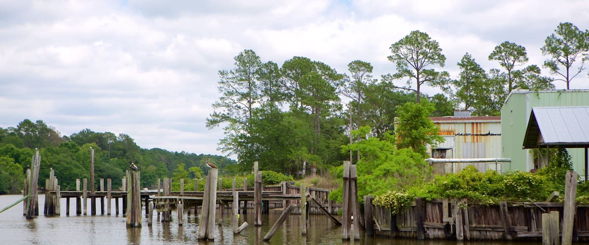 A wooden dock extending into a calm lake, surrounded by lush greenery and a few birds perched on the posts.