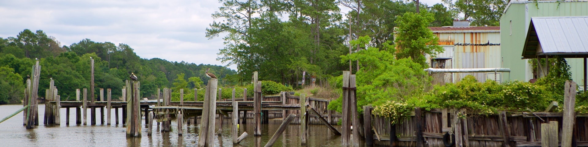 A wooden dock extending into a calm lake, surrounded by lush greenery and a few birds perched on the posts.