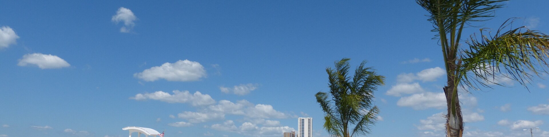 Uma praia com palmeiras, uma torre de salva-vidas e edifícios ao fundo.