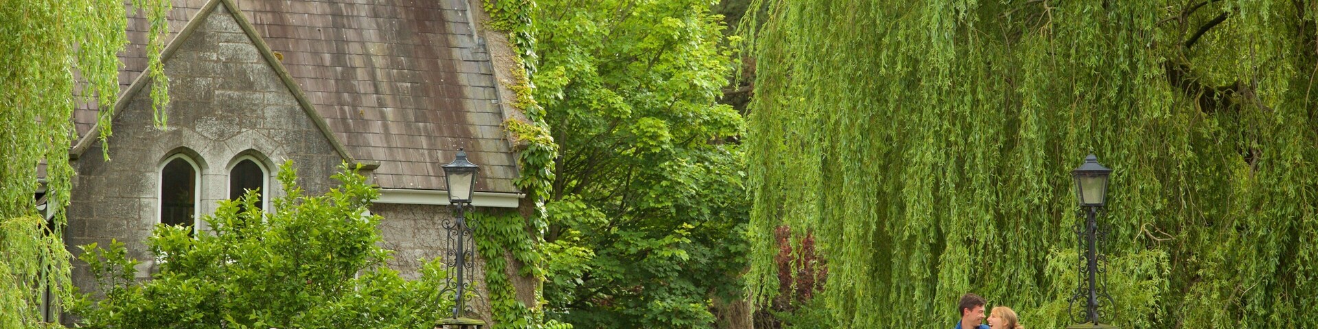 Irlanda mostrando un puente y también una pareja