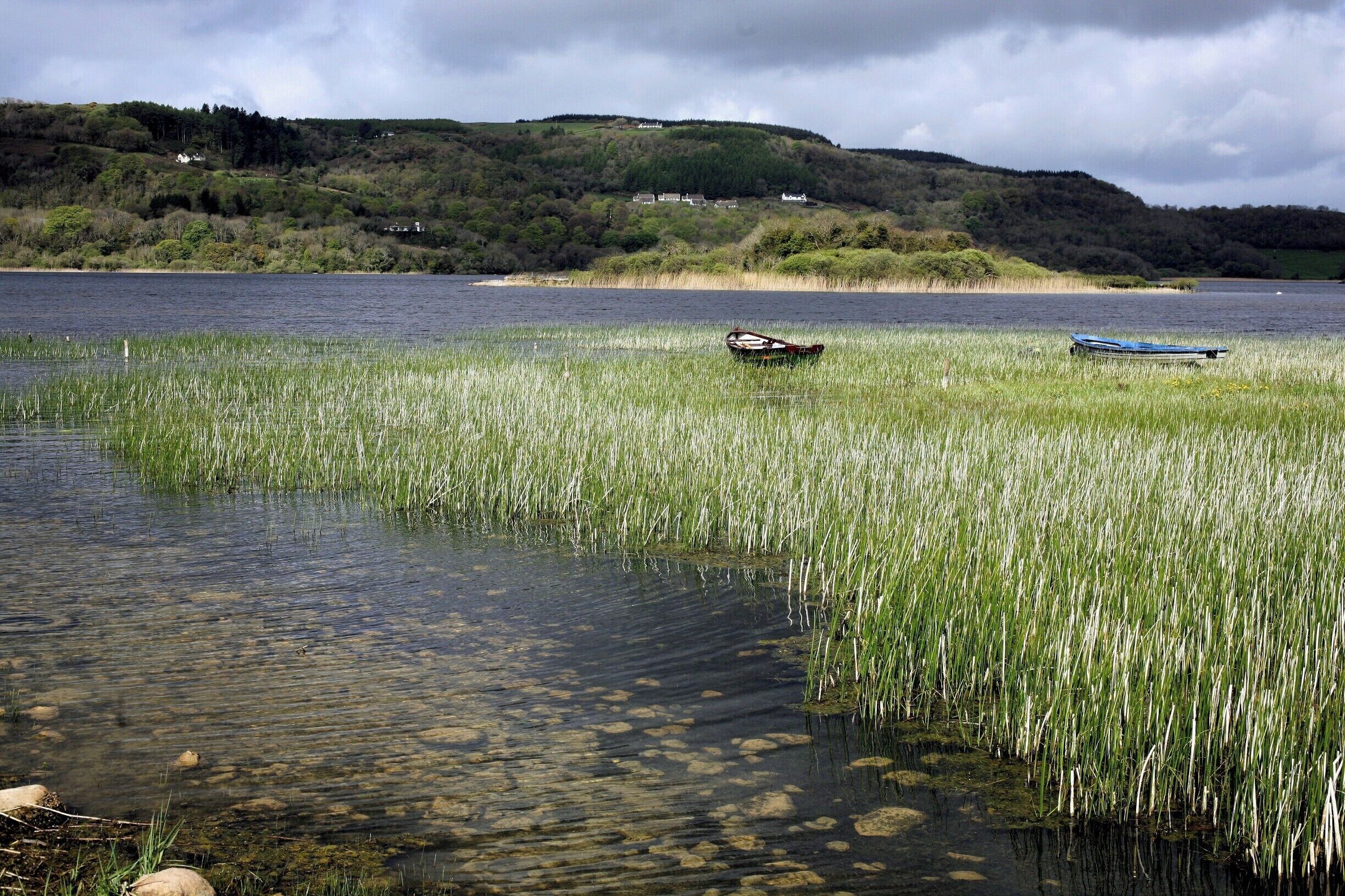 Lough Inchiquin is  shallow lake along the River Fergus, north of the village of Corofin in County Clare, It is famous for its trout fishing, but the halcyon days of plentiful large trout are long gone, as the lake suffers from eutrophication in summer. The lake is in a lovely setting and a beautiful place to visit. 