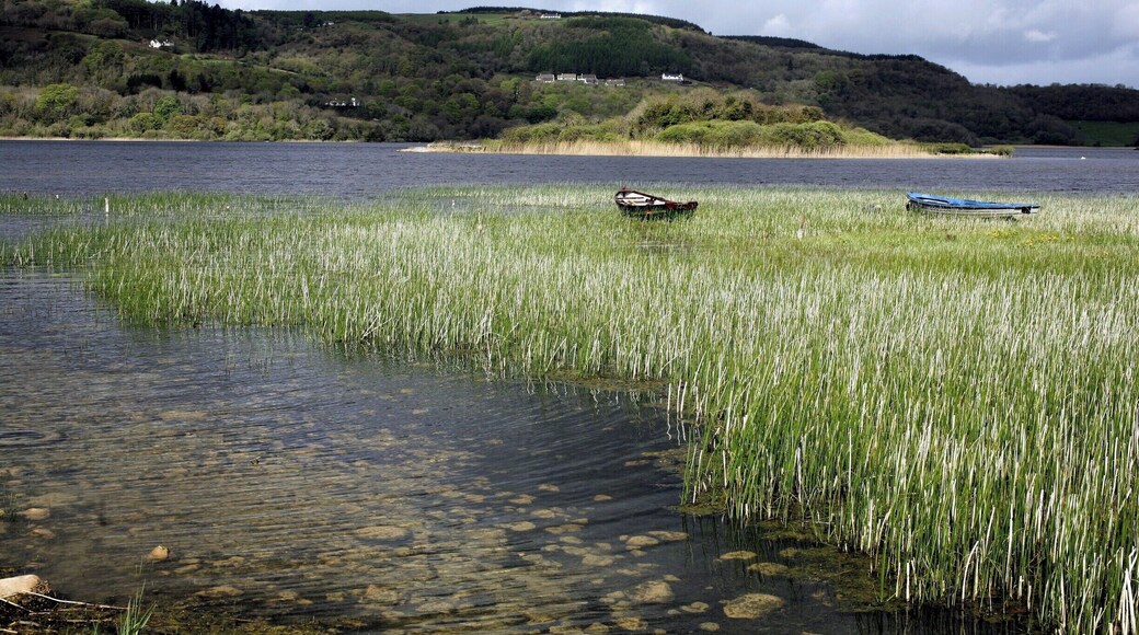 Lough Inchiquin is shallow lake along the River Fergus, north of the village of Corofin in County Clare, It is famous for its trout fishing, but the halcyon days of plentiful large trout are long gone, as the lake suffers from eutrophication in summer. The lake is in a lovely setting and a beautiful place to visit.