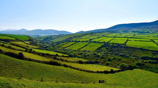 40 shades of Irish Green #Ireland #lifeatexpedia