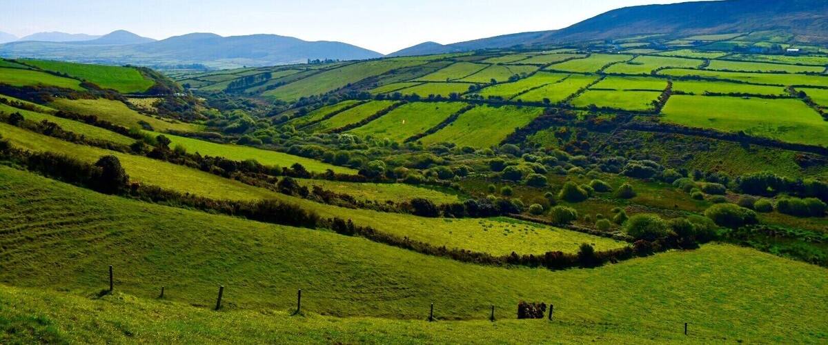 Rolling green hills with a valley and distant mountains.