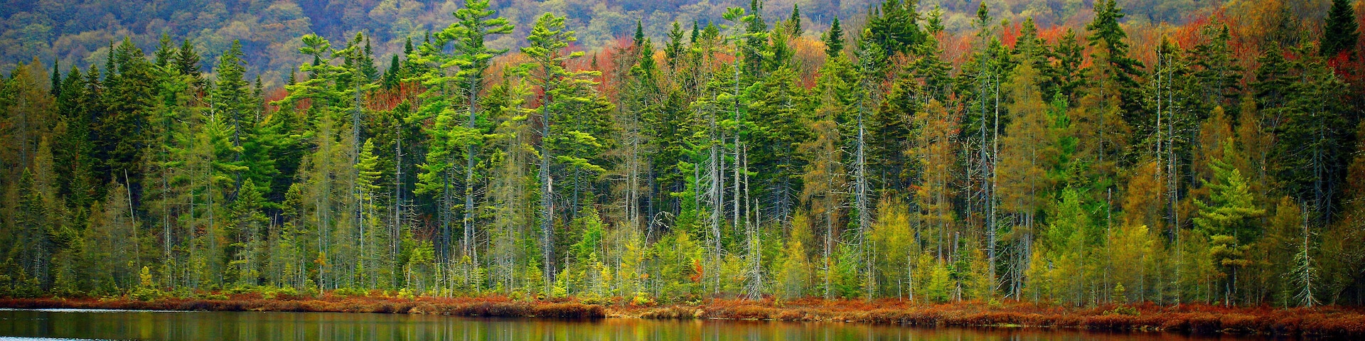 le lac jaune