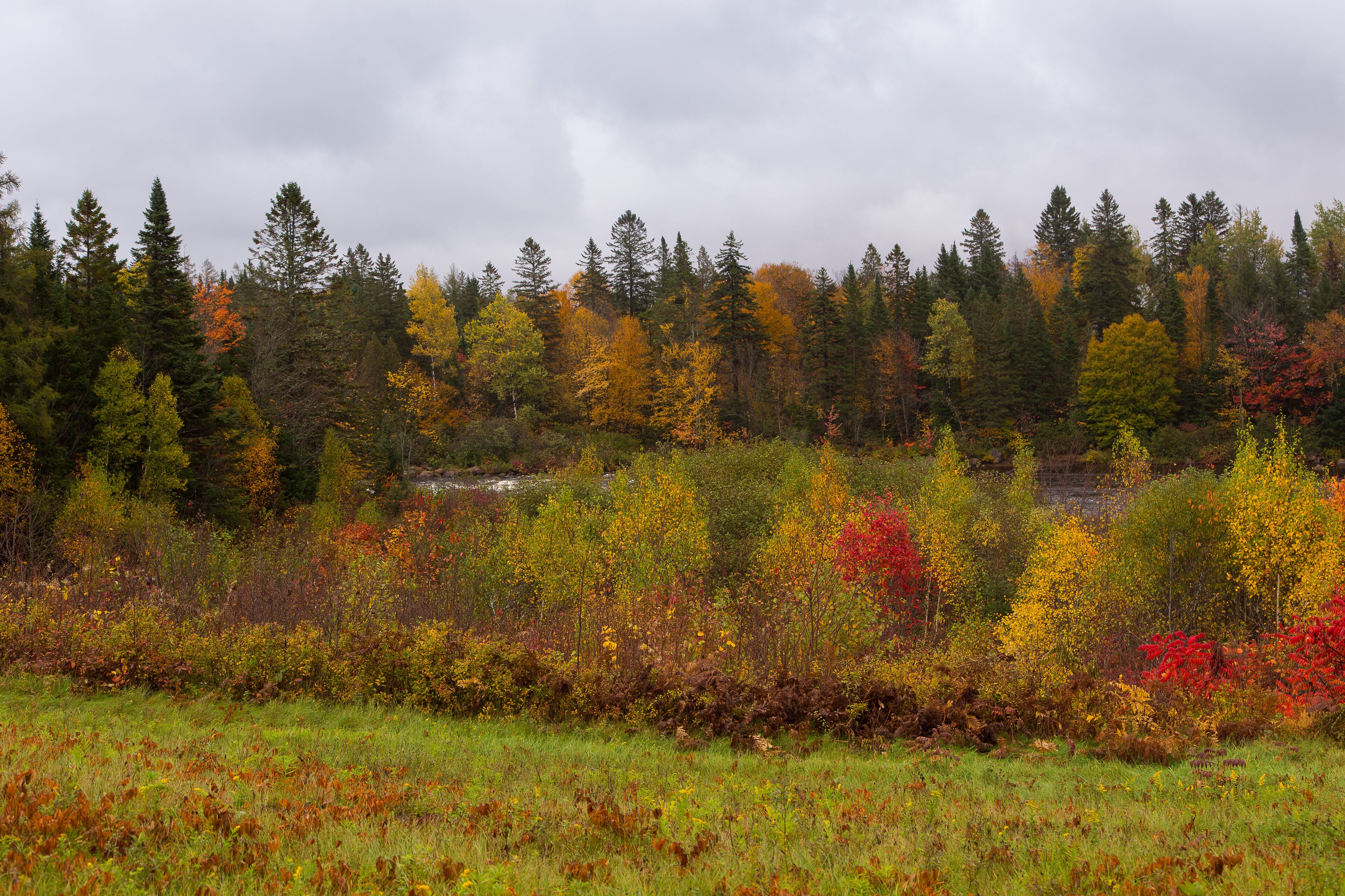 Sainte-Catherine-de-la-Jacques-Cartier