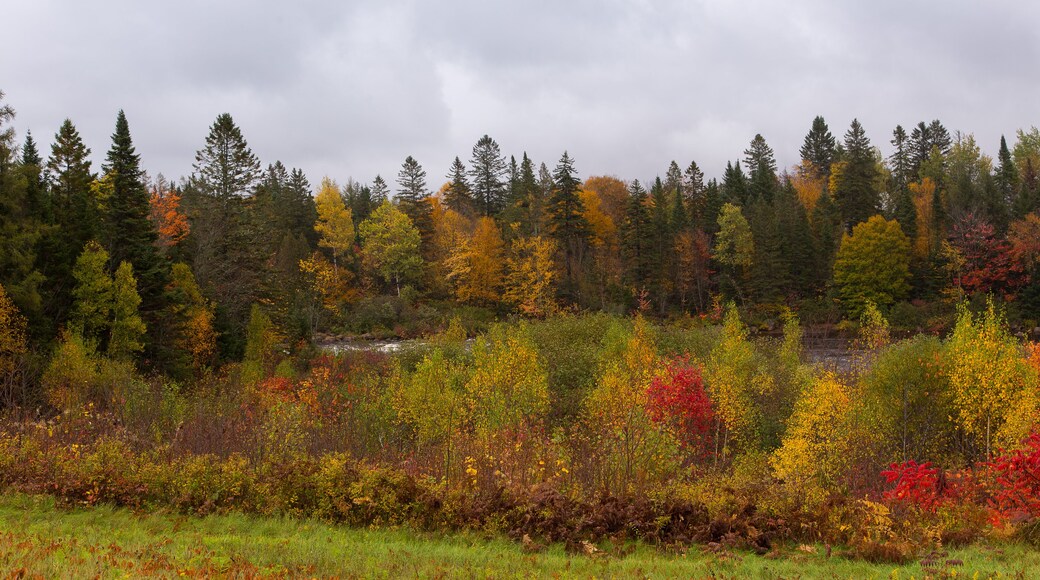 Sainte-Catherine-de-la-Jacques-Cartier