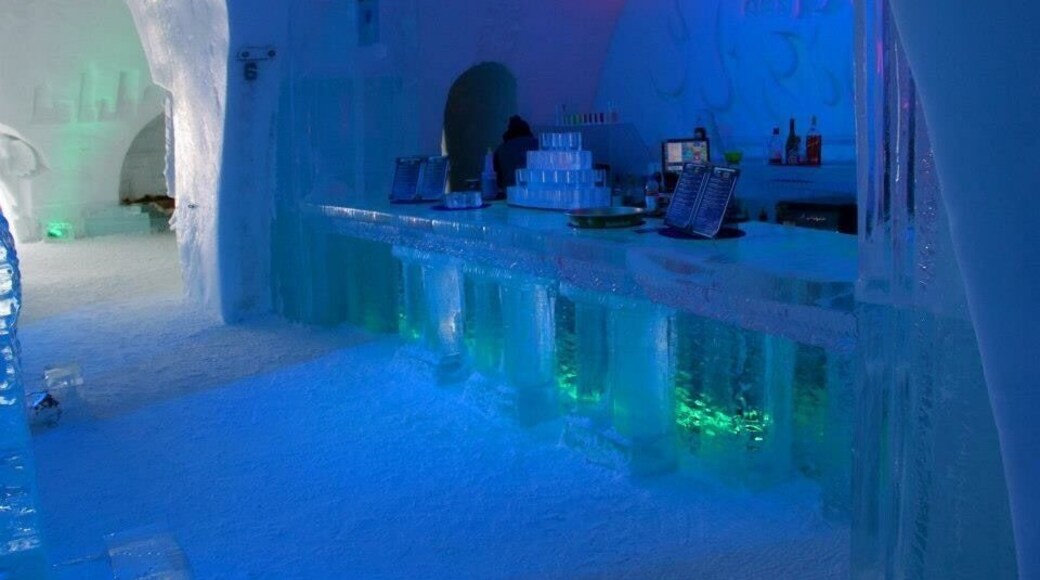 Ice Hotel, the bar