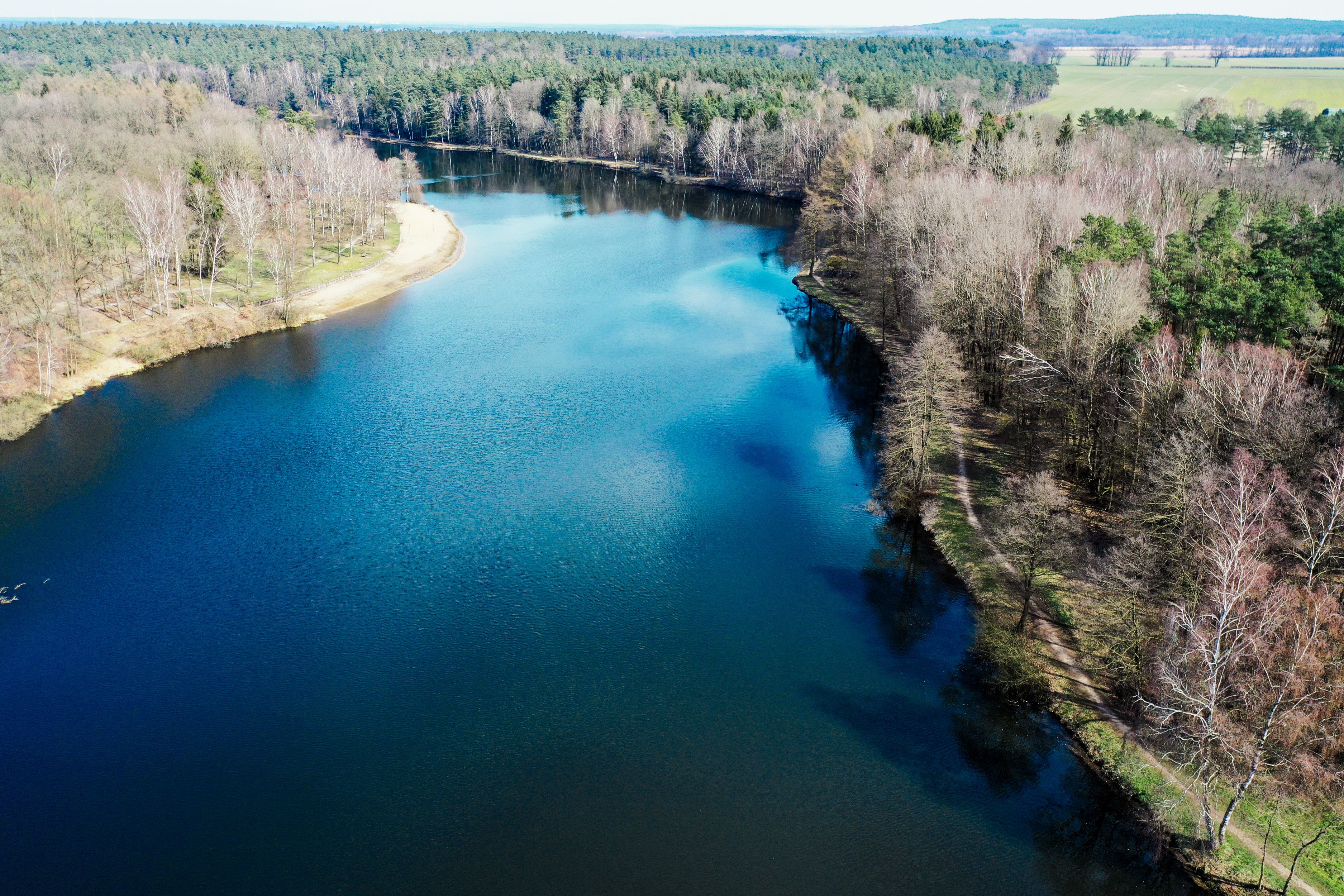 A river winding through a forested landscape with a clear sky.