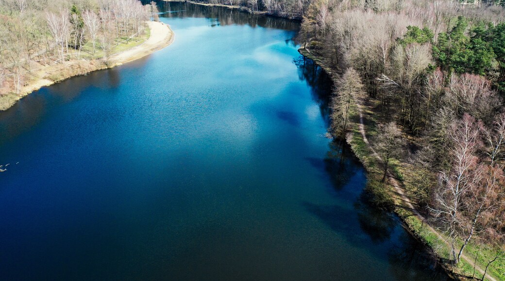 A river winding through a forested landscape with a clear sky.