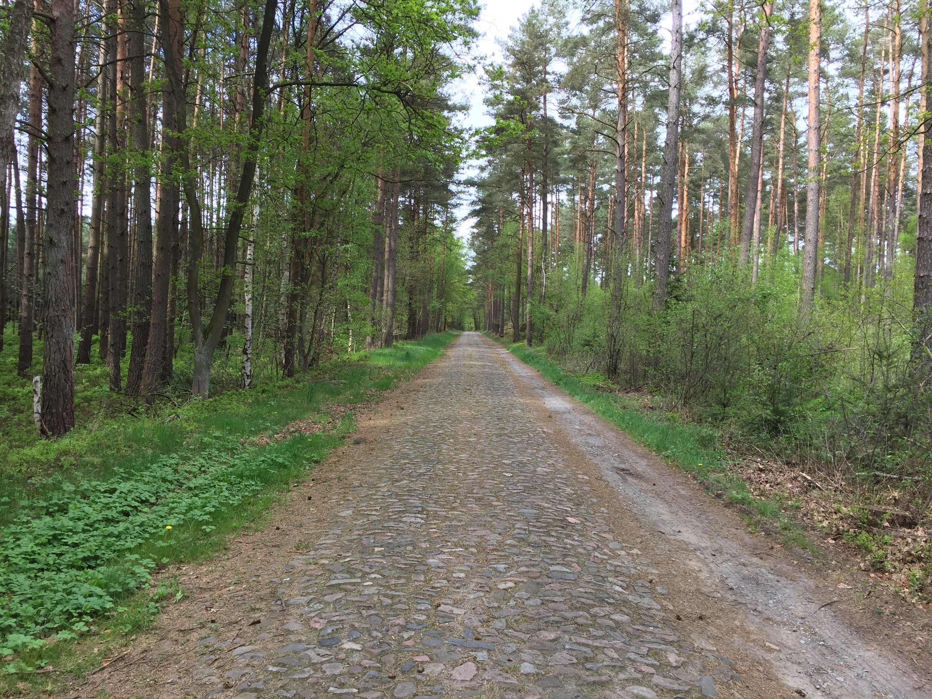 Blick auf den ursprünglichen Bahnhofsweg zwischen Räber und Suderburg in der Lüneburger Heide