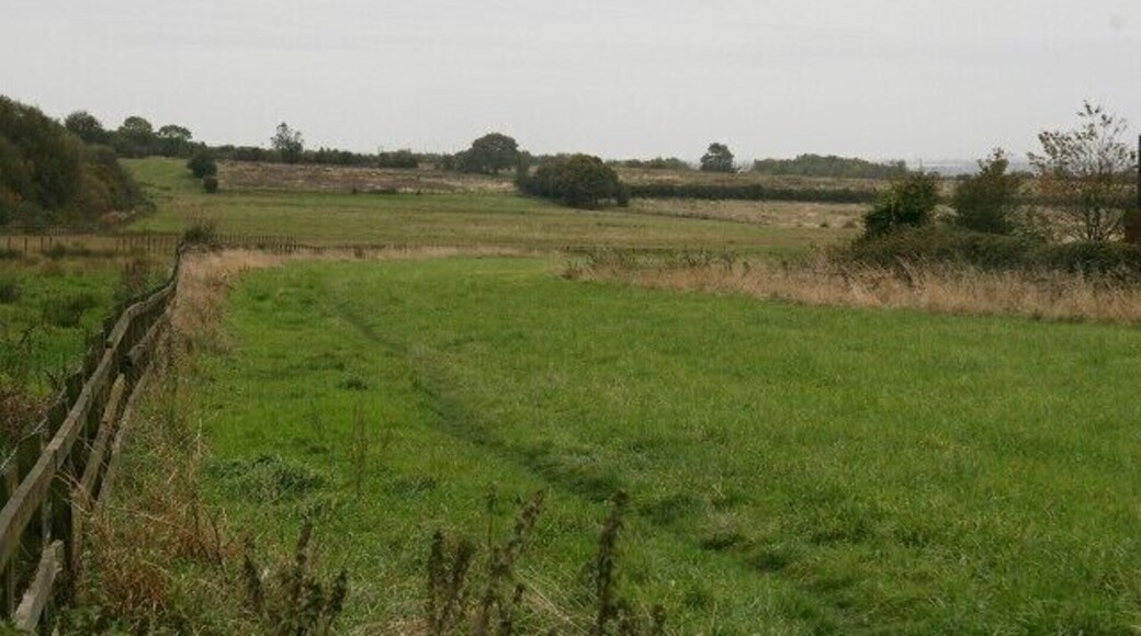 Public footpath. This photograph, taken from a stile on 587159 near Tibshelf, shows a footpath that follows the field boundary by the fence and on toward 592353. To see a more south-westerly (ahead) photograph of the footpath, click here 593027. (The route of this footpath bears only a passing relationship to that shown on some OS Maps.)