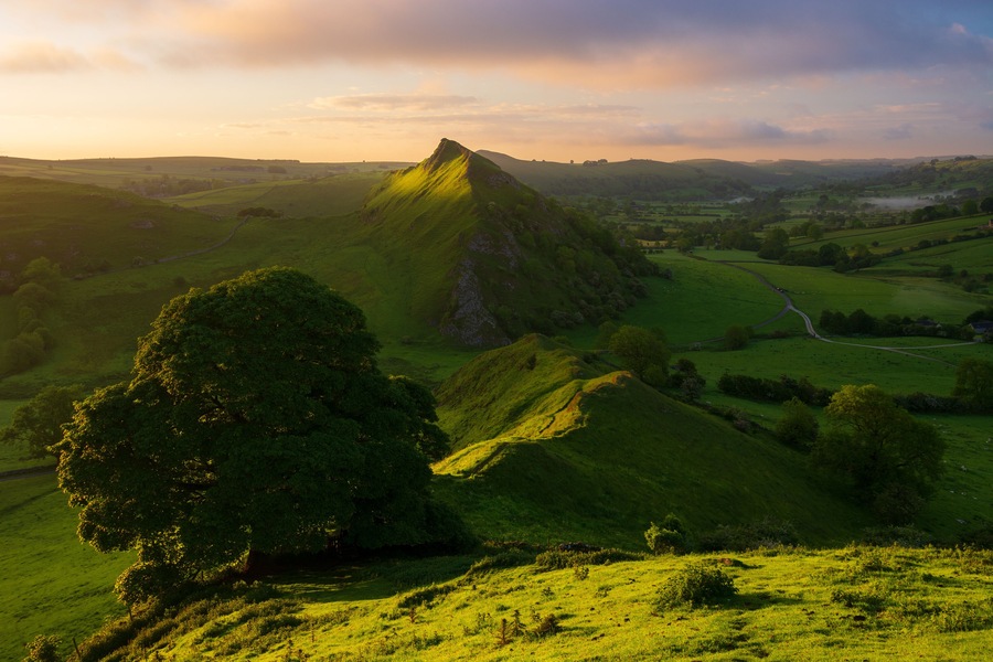 Rolling green hills, a prominent hill with a tree in the foreground, and a winding road in the distance.