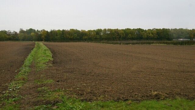 Public footpath. The footpath shown here is very obvious thanks to a considerate farmer. It connects 587923 (behind the viewpoint) with 587159 (ahead, westerly). To see a photograph taken from the same viewpoint but looking in the opposite direction, click here 587578. To see a more easterly (ahead) photograph of the footpath, click here 587571. To see a more westerly (behind the viewpoint) photograph of the footpath, click here 587608. (The route of this footpath bears only a passing relationship to that shown on some OS Maps.)