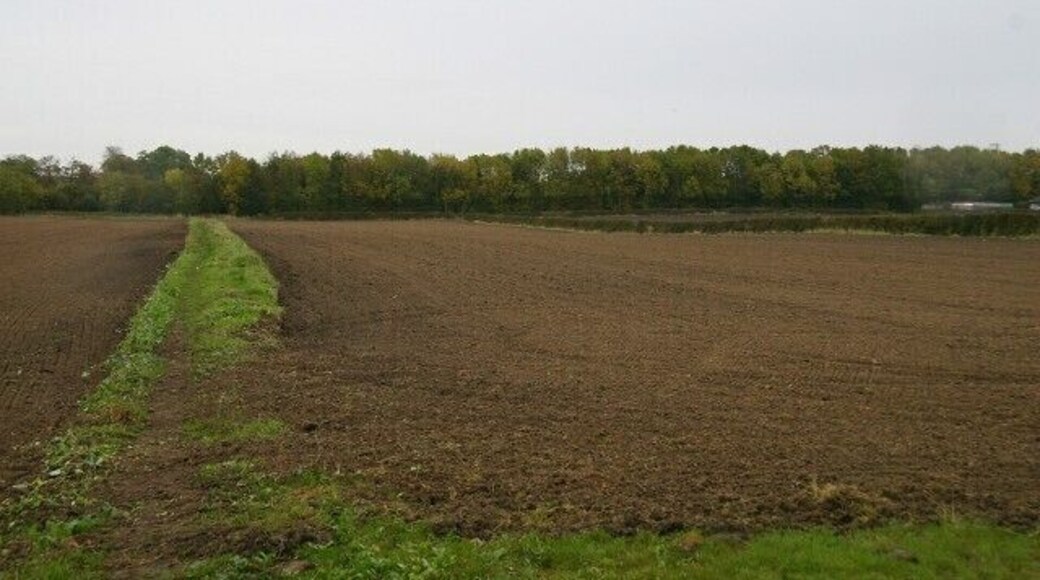 Public footpath. The footpath shown here is very obvious thanks to a considerate farmer. It connects 587923 (behind the viewpoint) with 587159 (ahead, westerly). To see a photograph taken from the same viewpoint but looking in the opposite direction, click here 587578. To see a more easterly (ahead) photograph of the footpath, click here 587571. To see a more westerly (behind the viewpoint) photograph of the footpath, click here 587608. (The route of this footpath bears only a passing relationship to that shown on some OS Maps.)