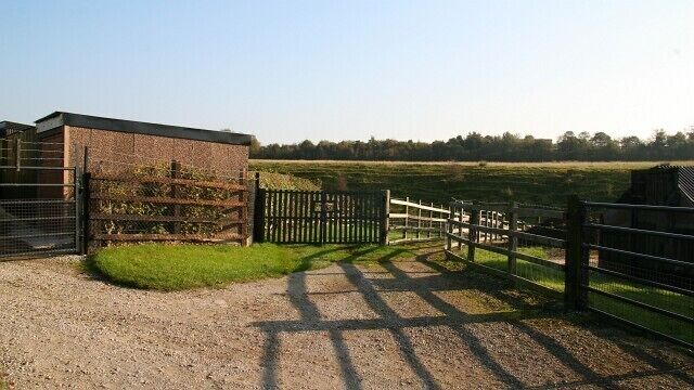 Footpath. The footpath connects Hardwick Street with 587159. To see a more north-easterly (ahead) photograph of the footpath, click here 593027. Behind the viewpoint a 592464 carries the footpath to a track at the south-eastern end of 592353.