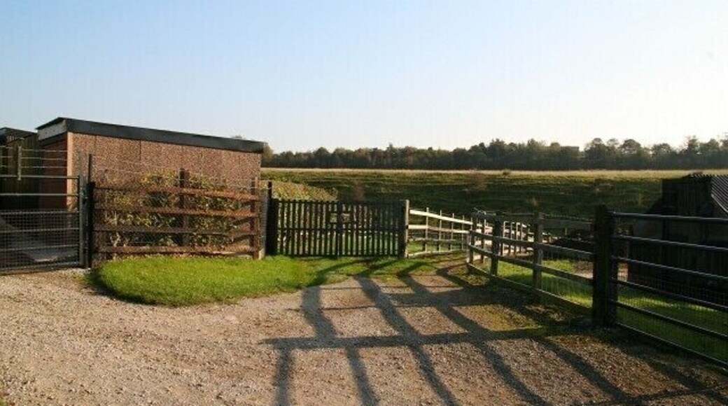Footpath. The footpath connects Hardwick Street with 587159. To see a more north-easterly (ahead) photograph of the footpath, click here 593027. Behind the viewpoint a 592464 carries the footpath to a track at the south-eastern end of 592353.