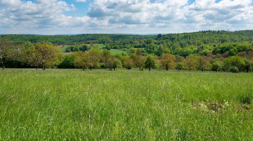 Deutschland, Baden-Württemberg, Pfinztal, Landschaft im Frühling.