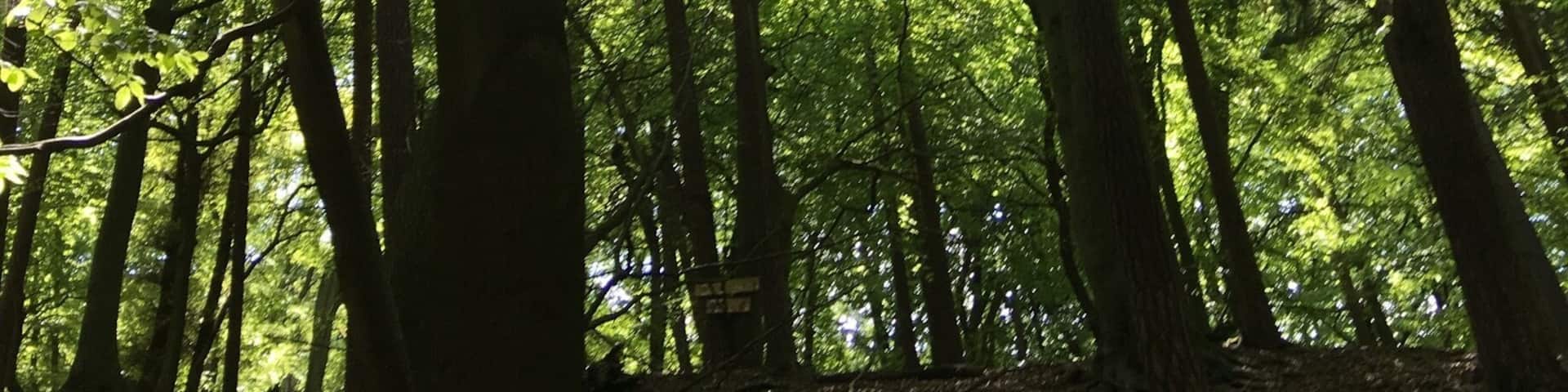 Great place superb nature