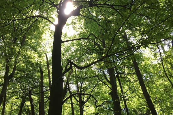 Great place superb nature