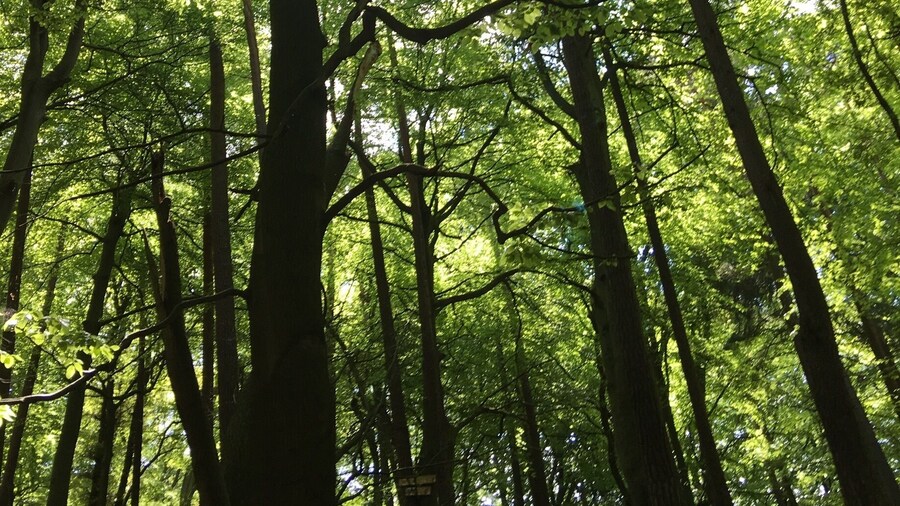 Great place superb nature