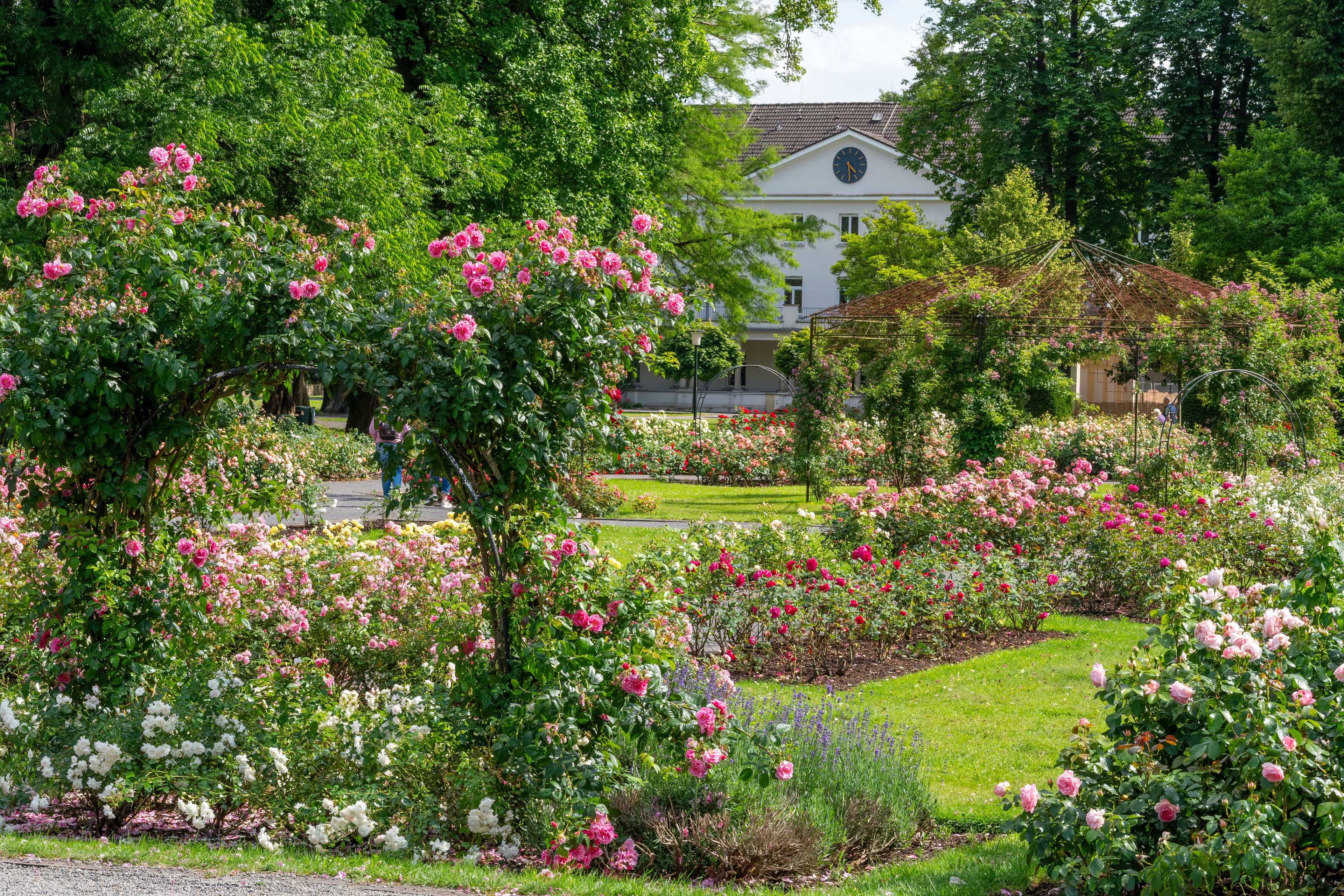 Ein Garten mit verschiedenen blühenden Pflanzen und einem Gebäude im Hintergrund.