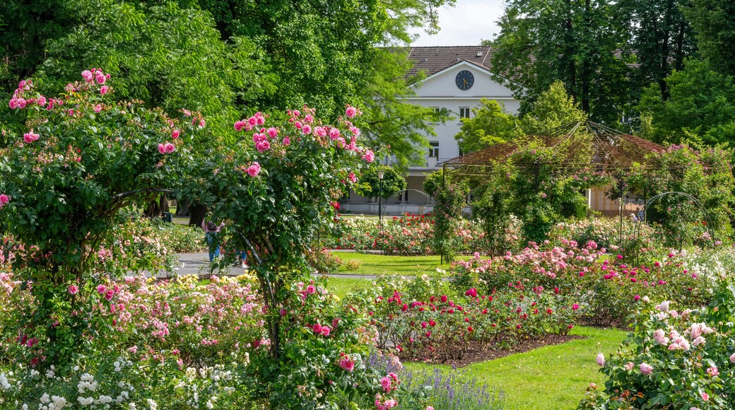 Ein Garten mit verschiedenen blühenden Pflanzen und einem Gebäude im Hintergrund.