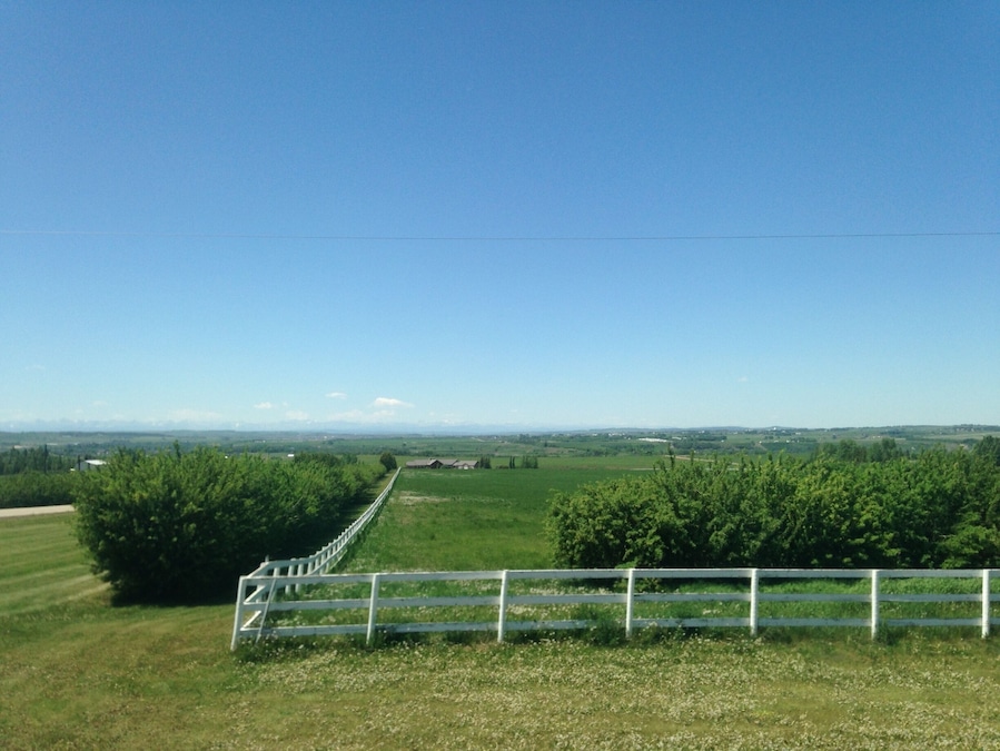 Love the loooooong fence
