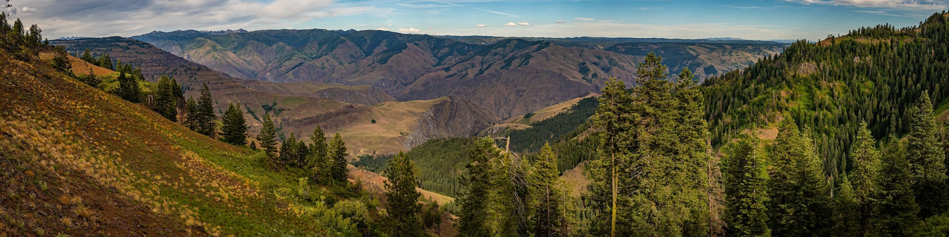 Hells Canyon Overlook
