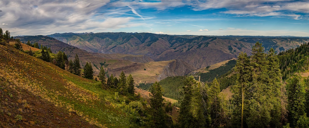 A mountainous landscape with dense forests and rolling hills.