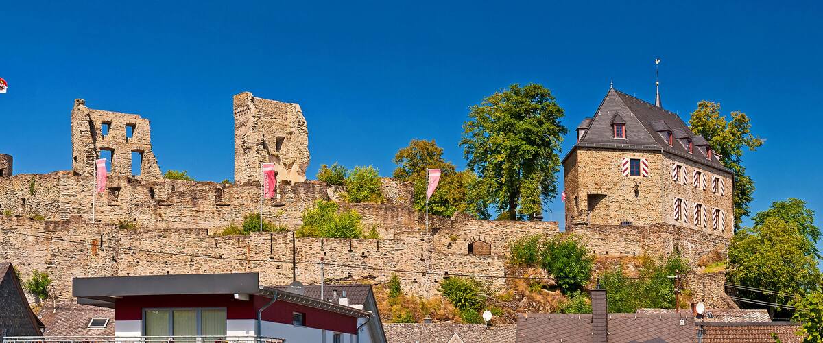A historic castle with stone walls and towers, surrounded by trees and modern buildings.