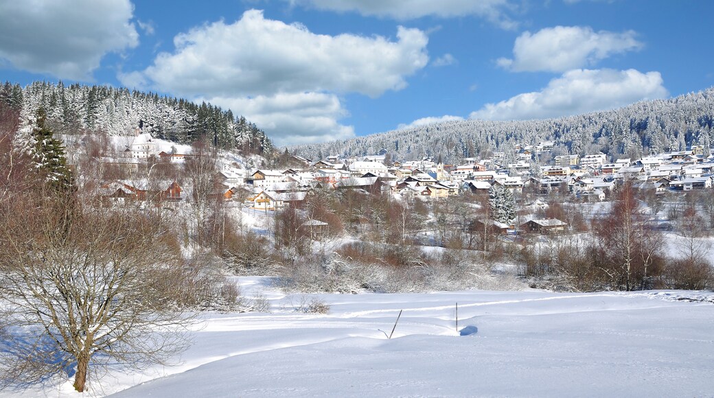 سانكت إنجلمار