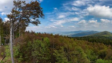 Wandern zum Turm am Hirschenstein im Bayerischen Wald