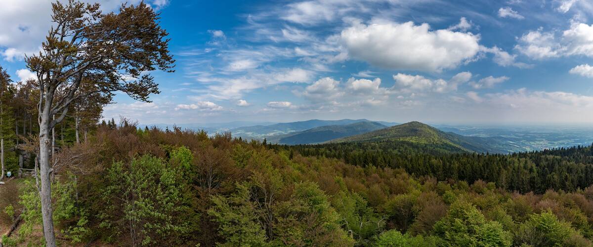 A mountainous landscape with dense forests and a clear sky.