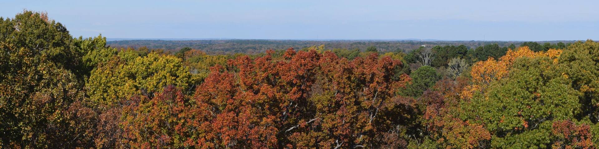 Panorama of the tree city of Oxford Mississippi from the University of Mississippi