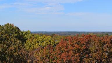 Panorama of the tree city of Oxford Mississippi from the University of Mississippi