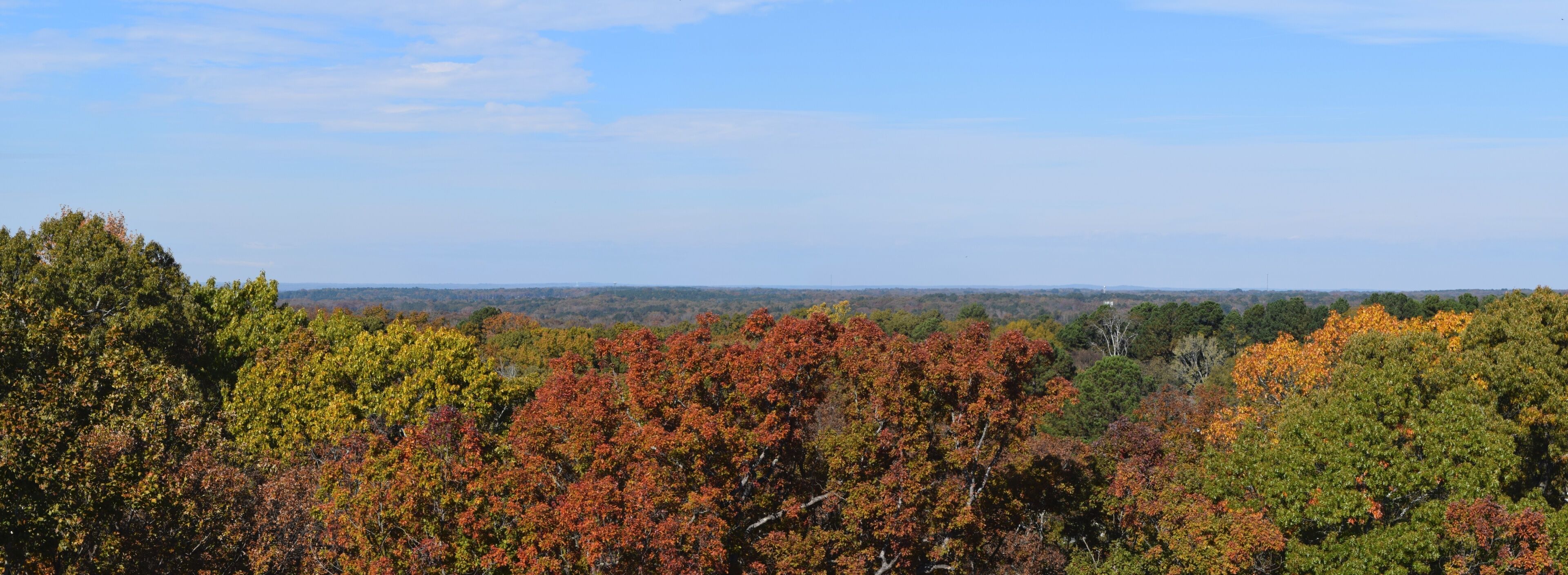 A forested landscape with autumn foliage.