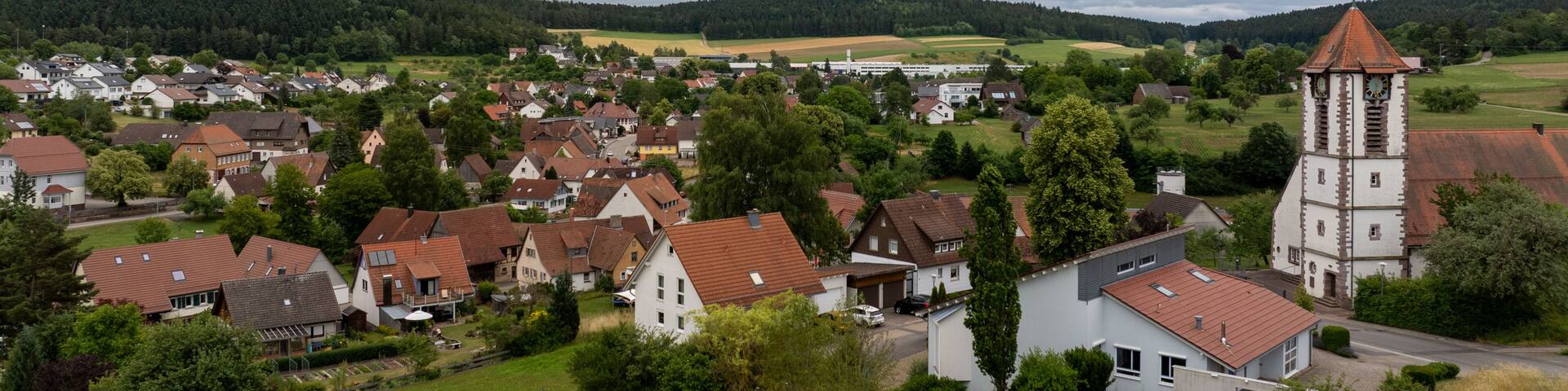 Scenic view of Waldachtal in Germany, showcasing the village, church, houses with red roofs, green fields, and forest under a cloudy sky