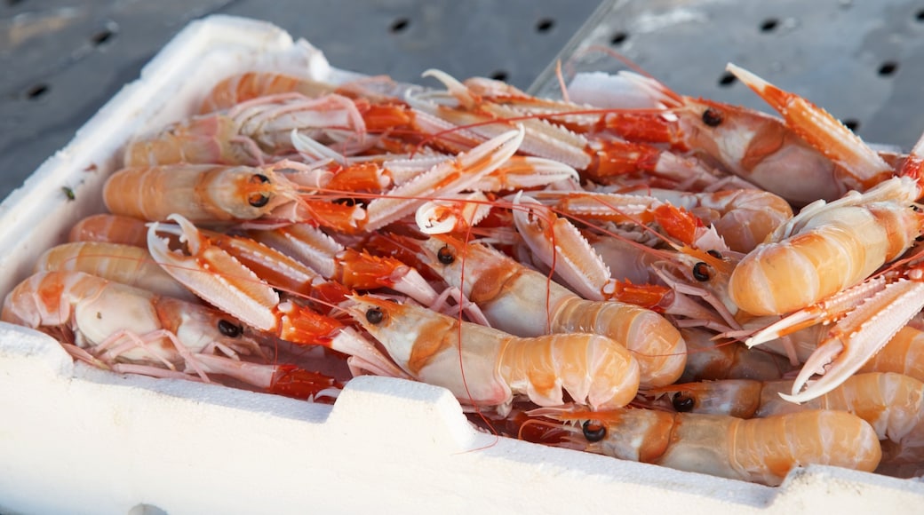 Lecce cho thấy thức ăn