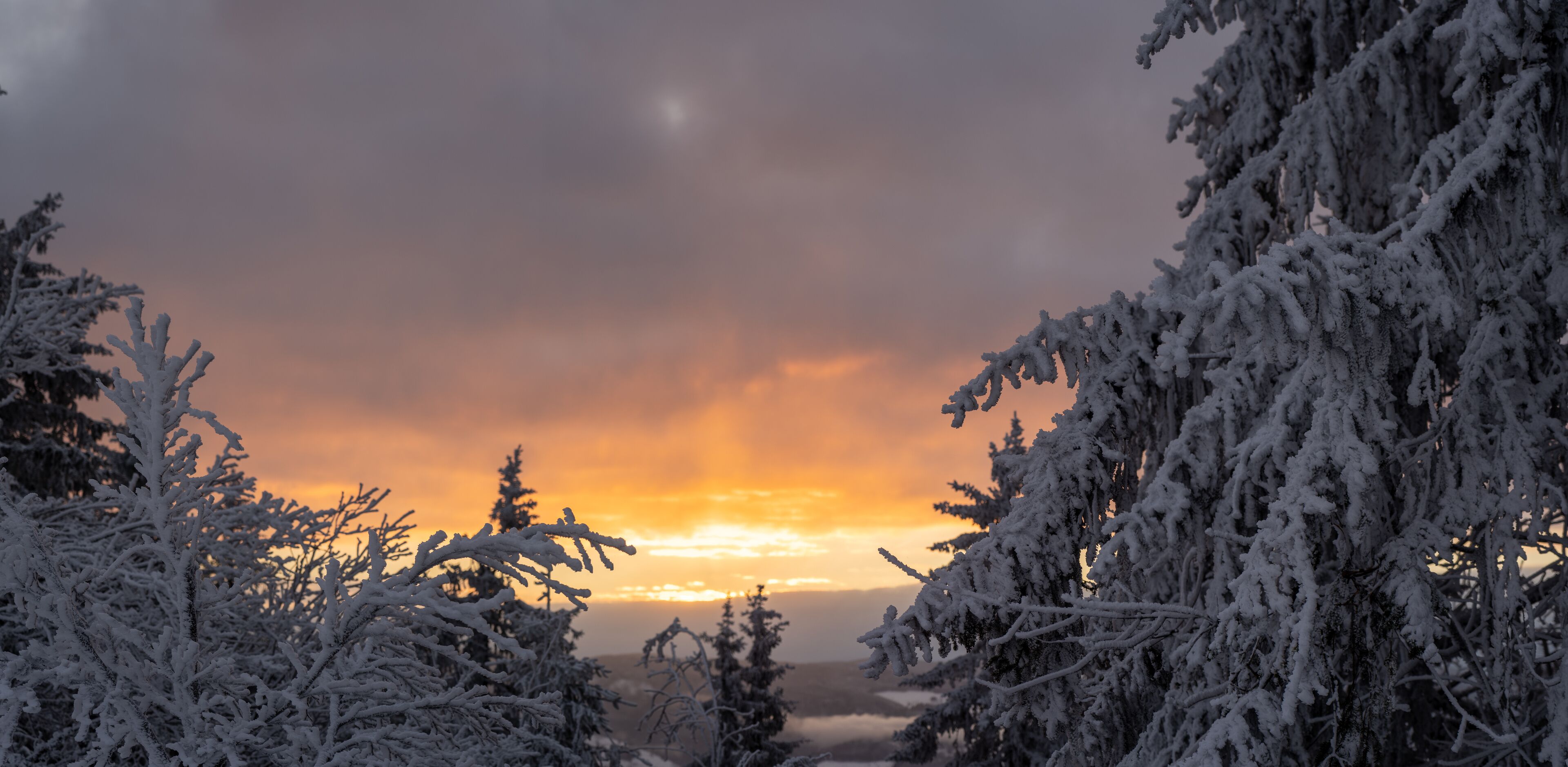 Der Berg Belchen im Schwarzwald