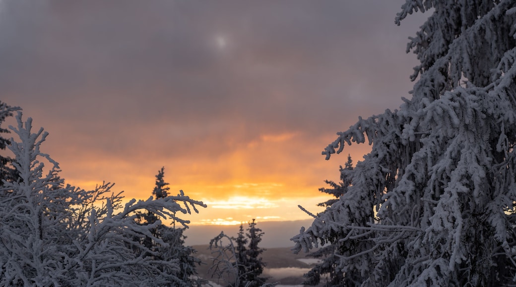Der Berg Belchen im Schwarzwald